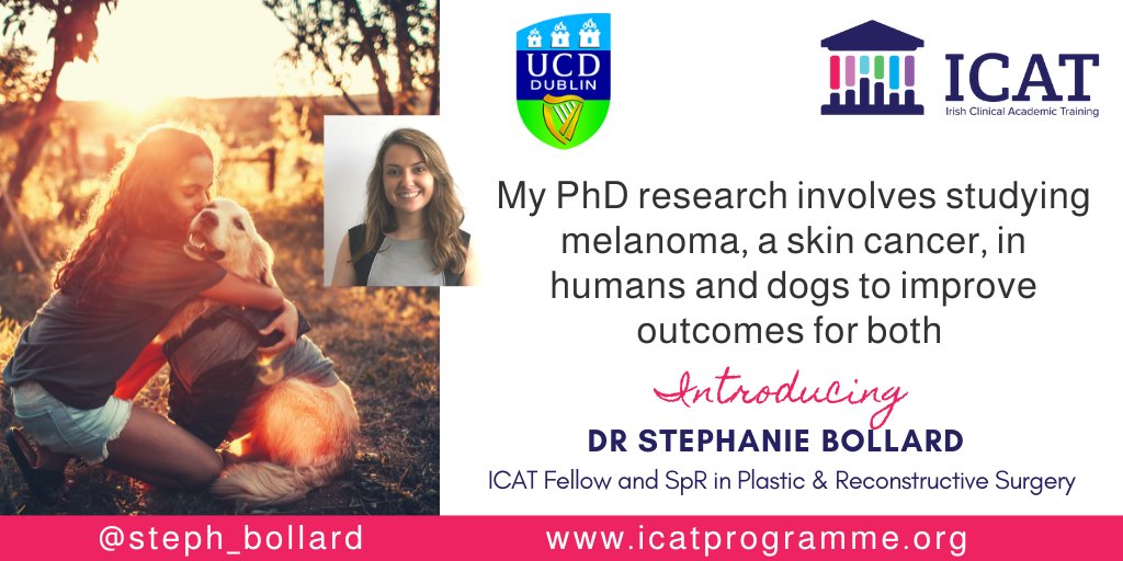 Meet Steph, a trainee in Plastic & Reconstructive Surgery & ICAT Fellow @ucddublin, she studies #melanoma in humans & dogs, to improve treatments for both @ucdvetmed @UCDMedicine @steph_bollard @shirleypotty @hrbireland #ICAT2launch