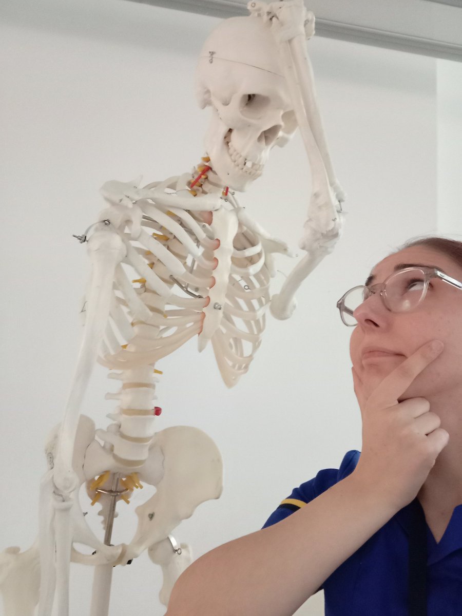 Alice Temporin (@alice_temporin) on Twitter photo Sally the Skeleton looks quite tired after our session on #ECG
She deserves some time off!
<a href="/wlv_uni/">University of Wolverhampton</a> <a href="/wlvnursing/">University of Wolverhampton SoN</a> <a href="/UoWFEHW/">UoWFEHW</a> <a href="/awdainty/">William Dainty</a>
#Nursing Sally the Skeleton looks quite tired after our session on #ECG
She deserves some time off!
<a href="/wlv_uni/">University of Wolverhampton</a> <a href="/wlvnursing/">University of Wolverhampton SoN</a> <a href="/UoWFEHW/">UoWFEHW</a> <a href="/awdainty/">William Dainty</a>
#Nursing