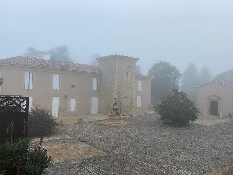 ChateauCoutet's tweet photo. This is what fog (aka Botrytis fiesta) looks like in Barsac and Sauternes!! 🎉
📸 • Aline Baly
#barsac #sauternes #coutet #chateaucoutet #bordeaux #harvest #wine #vineyard #botrytis #noblerot #goldwine #sweetwine #botrytiscinerea https://t.co/CjN3wpNVQQ