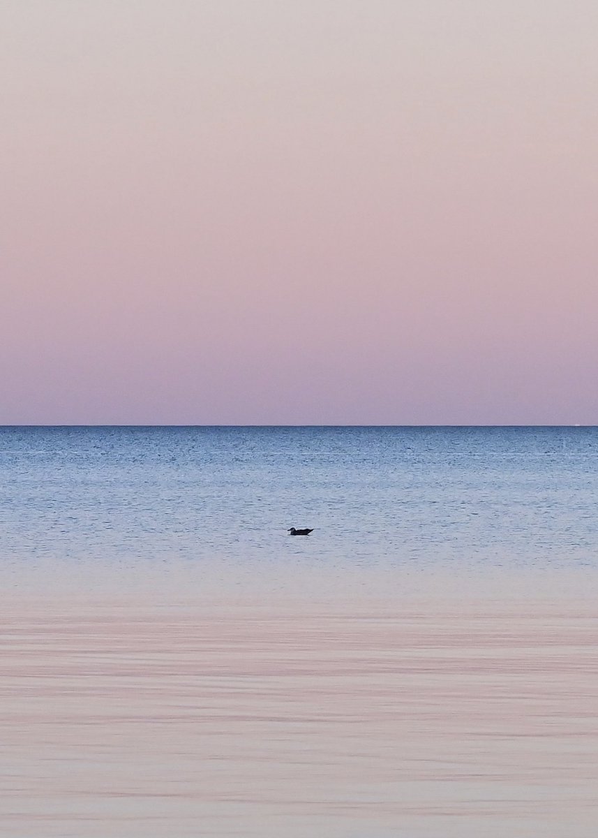 변경 가능한 티켓 tweet media