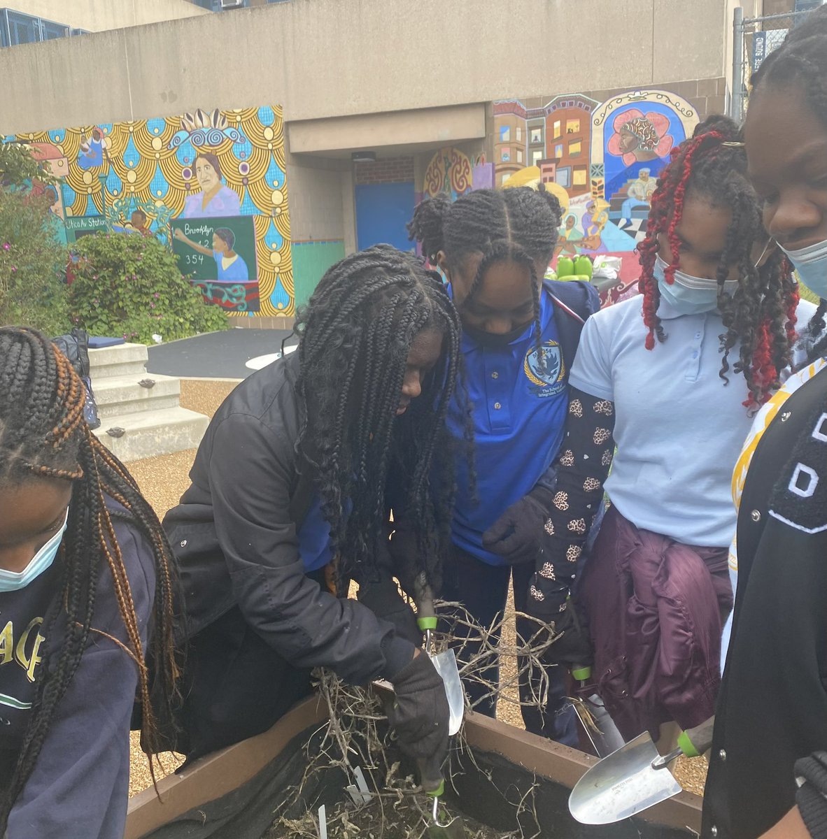 Take a look at our scholars tending to our school garden! With diligent care and nurturing, our squash was able to grow to the size of our heads!🍂🌾#354strong
