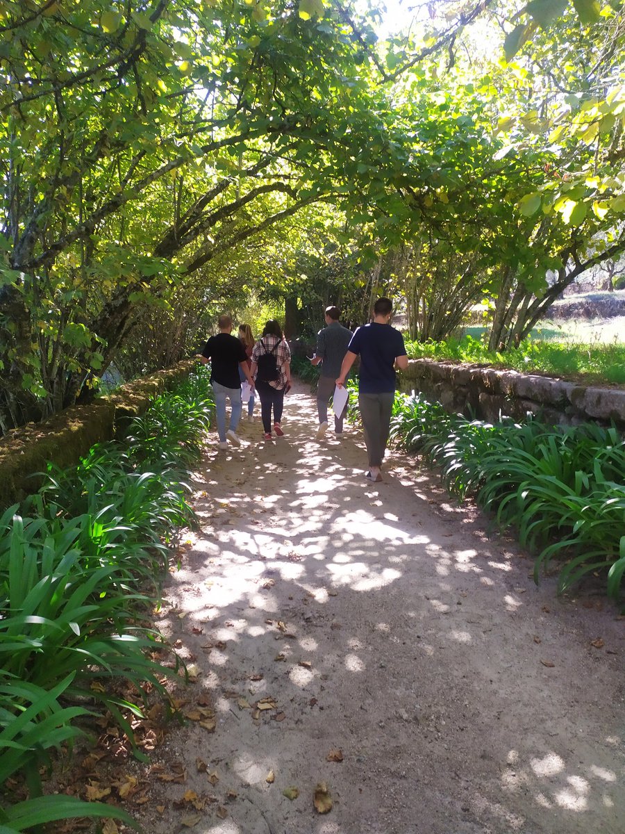 Ins Frederic Mompou tweet media