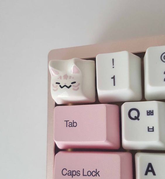 lavieestbelIe's tweet photo. The cutest keycaps https://t.co/DptjjwIMbq