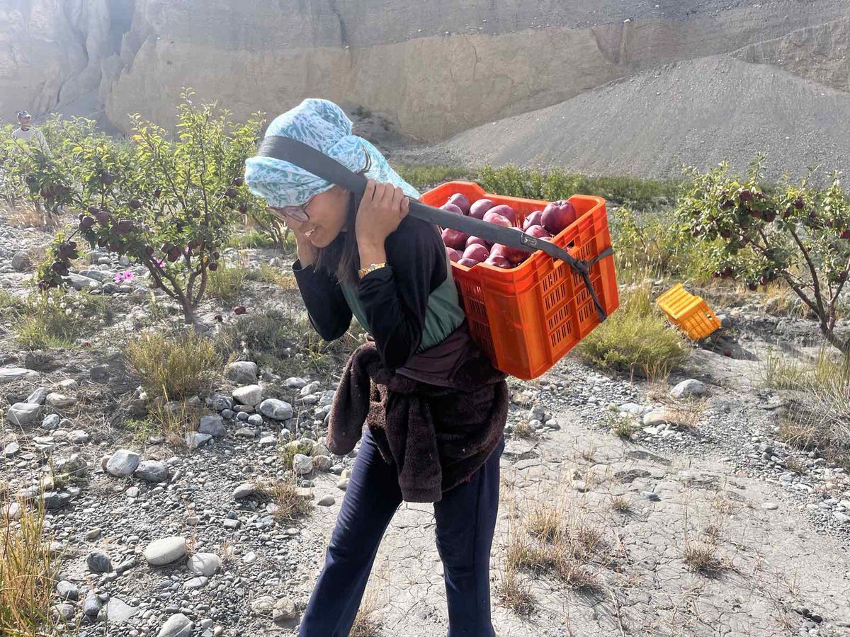 DewaApples's tweet photo. The wait is over, Dewa Apples is on the way to Kathmandu! @Greengrowth01 #DewaApple #Organic #LoMustang #Nepal #Himalaya #Dhe #MustangApple https://t.co/dY46fRfzC5