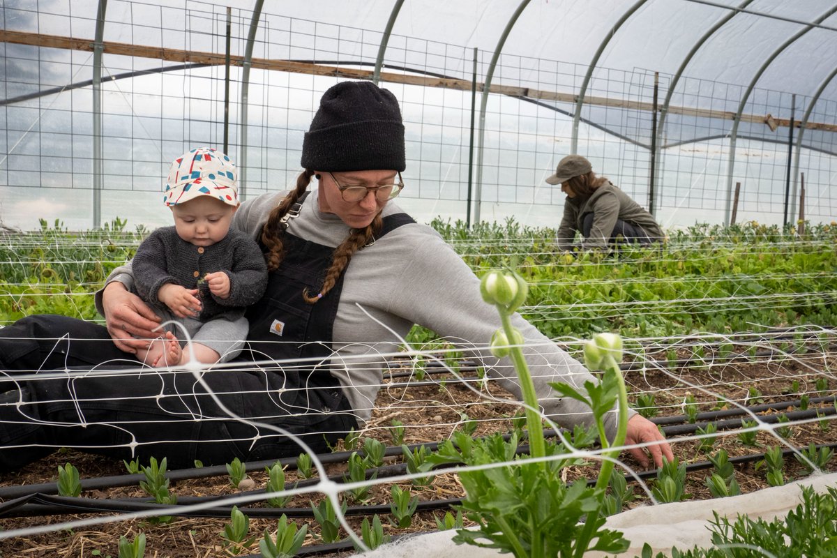 SecVilsack's tweet photo. Today we celebrate all those who work tirelessly to support rural economies, care for our precious lands, and feed our nation and the world. From the bottom of my heart, thank you. #NationalFarmersDay https://t.co/gDHQqRhEsI