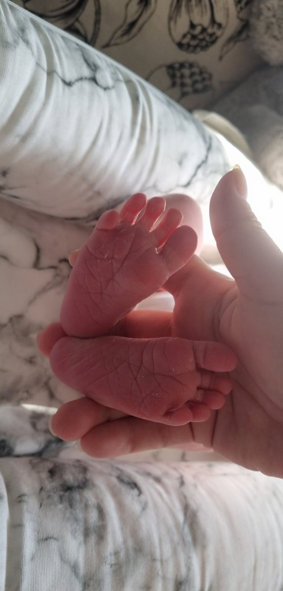 🪴Talie✨ tweet media