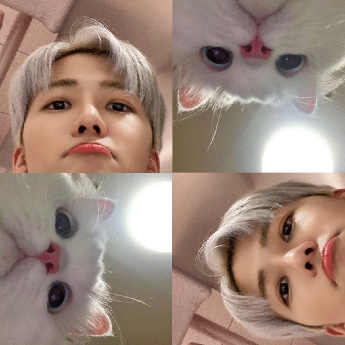 jaezeni's tweet photo. yup he’s cute from any angle https://t.co/1U8U0V5UoQ