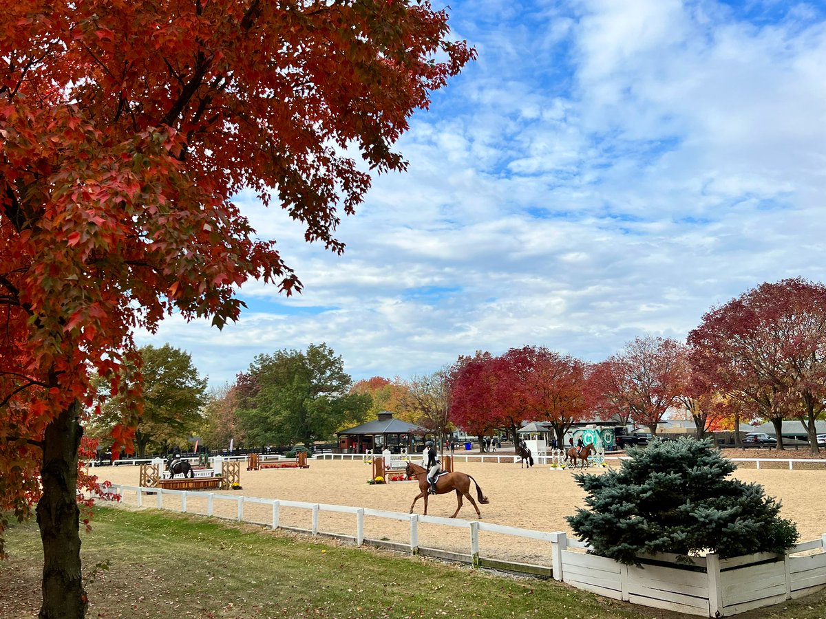 Beautiful fall day <a href="/RRP_TBMakeover/">Retired Racehorse Project</a> <a href="/KyHorsePark/">Kentucky Horse Park</a> watching the talented off-track thoroughbreds in their new careers #thoroughbredlove 🙌🏻 🫶🏇🏿