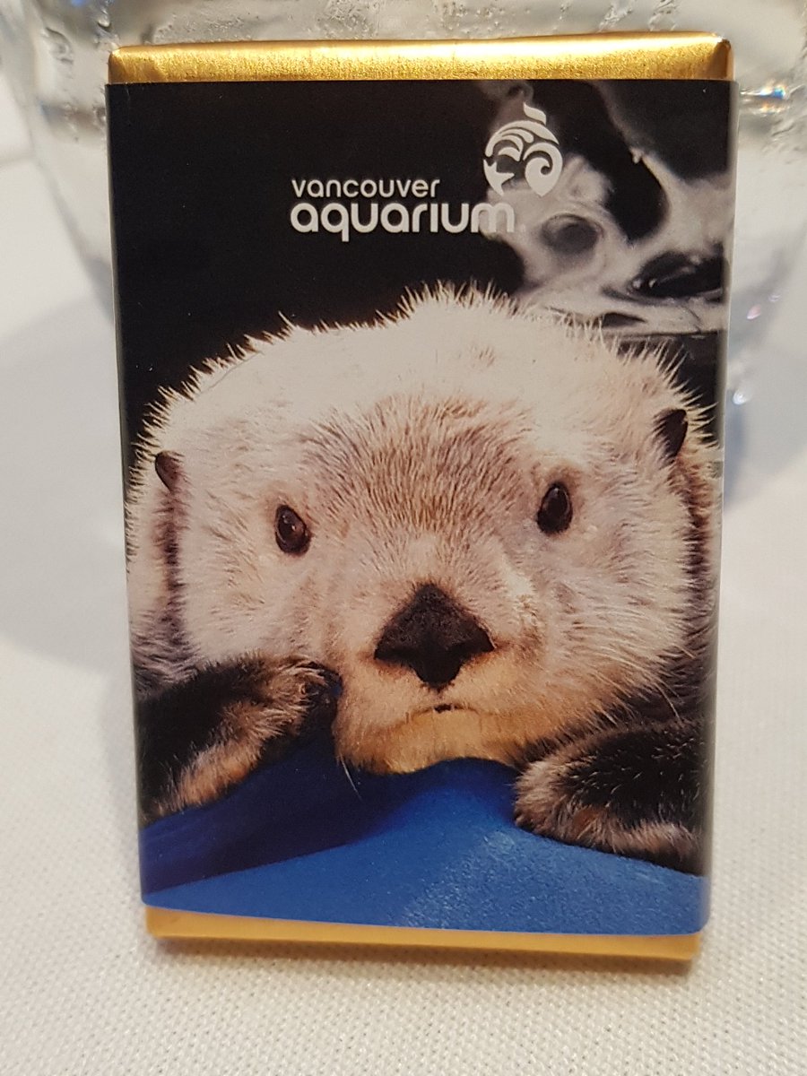 At the #vancouvertourismawards with <a href="/CllrHardwick/">Colleen Hardwick</a> <a href="/MicheMollineaux/">Michelle Mollineaux</a>