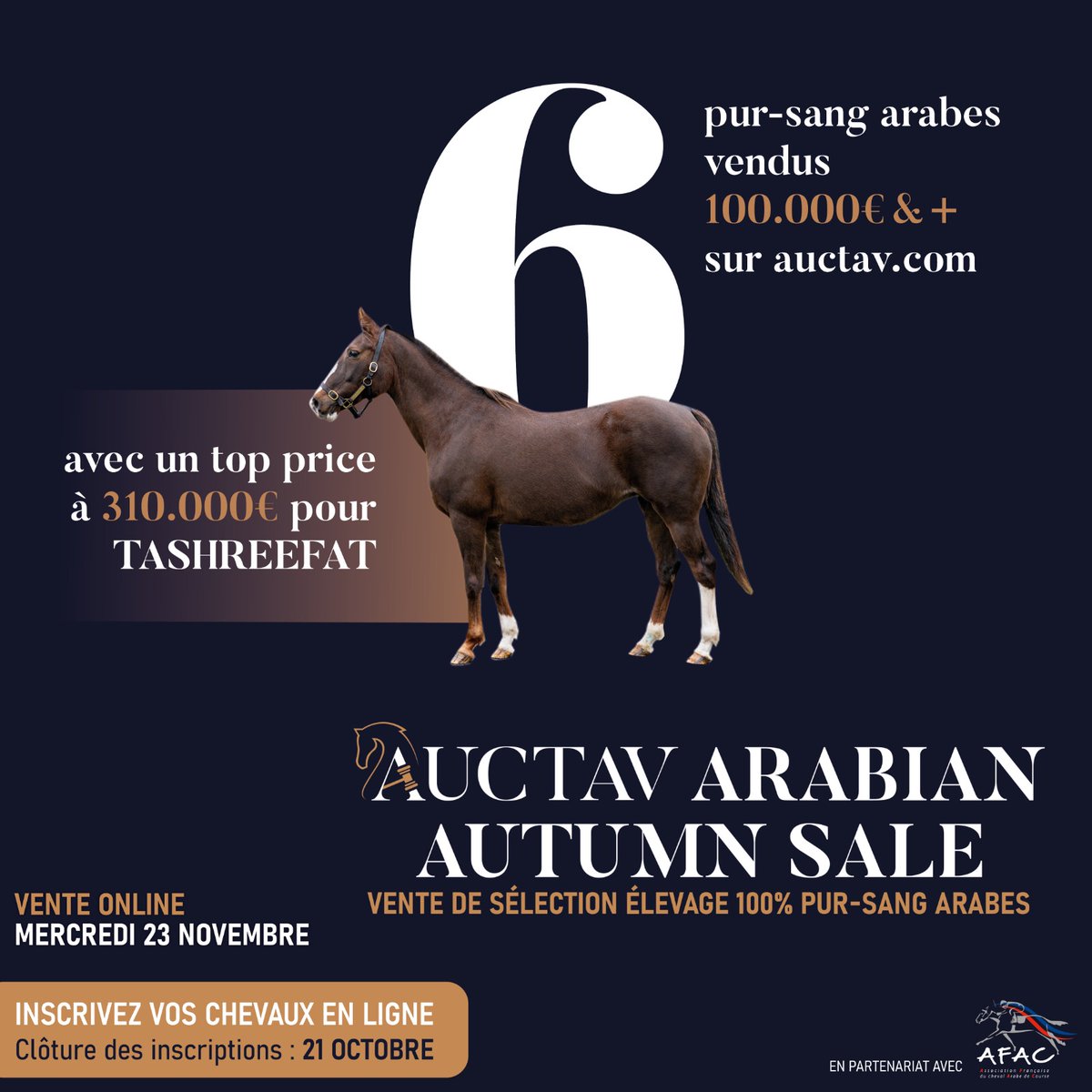 AUCTAV sales dedicated to Purebred-Arabians recorded a total of 6 horses sold for €100,000 & more, including a top price at €310,000 for the impressive TASHREEFAT 🔛 Next is #AUCTAV ARABIAN AUTUMN SALE, a 100% Purebred Arabian selection sale ‼️Entries close on October, 21