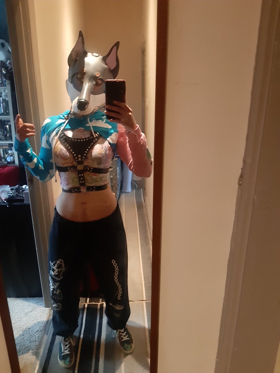 PupGremlin's tweet photo. Fit from a few #Animalz back wearing Benji 🐺
"Scout" hood by @RamShackleGear
Harness by @chillis_leather 
#Pup #FemalePup #PupHood #WolfdogPup #Wolfdog #BitchPup #PupPlay https://t.co/wWzcWD14oT