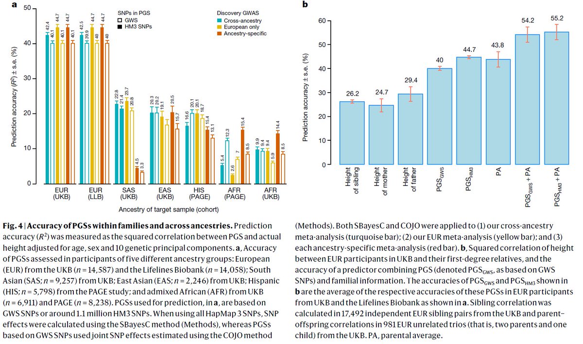 dr_appie's tweet image. A century ago, height helped to reconcile Mendel’s laws with the inheritance of complex traits. Now, @LoicYengo et al made it the first trait to have all its common genetic effects captured, which predict better than the parental average. This is major.

- nature.com/articles/s4158…
