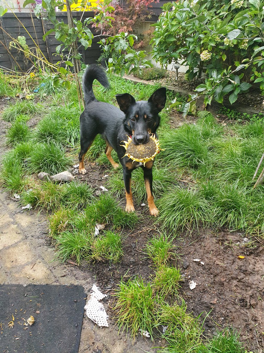 Emma Foley tweet media