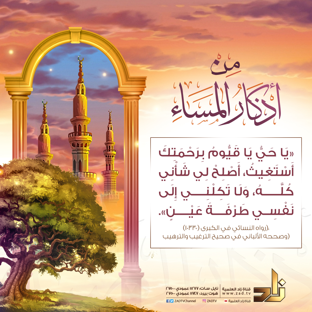 تذكير بـ #أذكار_المساء
#قناة_زاد الفضائية 📺