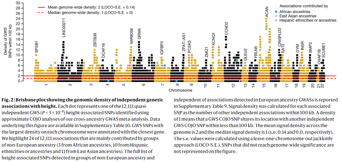 dr_appie's tweet image. A century ago, height helped to reconcile Mendel’s laws with the inheritance of complex traits. Now, @LoicYengo et al made it the first trait to have all its common genetic effects captured, which predict better than the parental average. This is major.

- nature.com/articles/s4158…