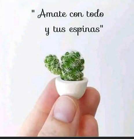 socorroruizperez (@socorroruizper1) on Twitter photo 