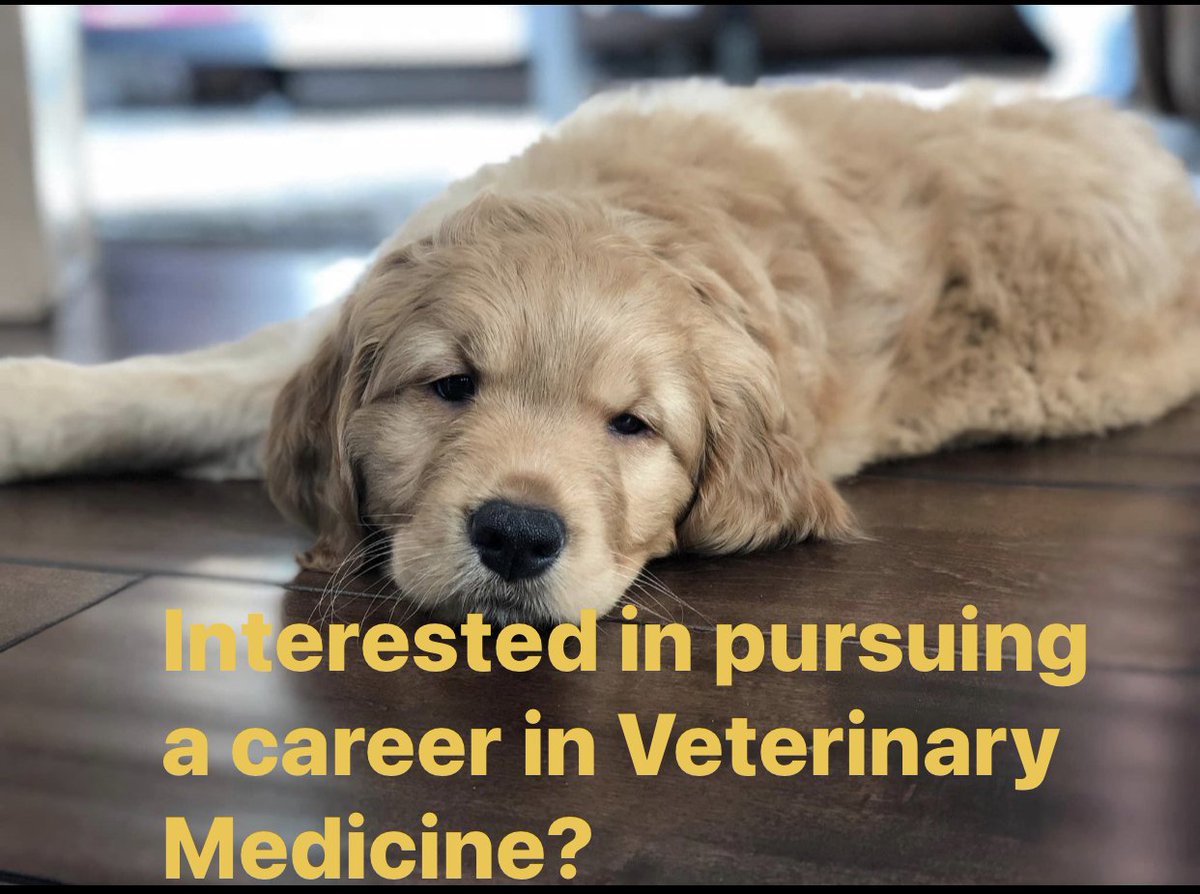 MarshallUCOS's tweet photo. Dr. Thomason with Mississippi State College of Veterinary Medicine will be on campus speaking to Pre-Vet Club (All are welcome) on October 13th from 6:30 p.m. to 7:30 p.m. in the Science Building, Room 376. #MUScience #MUBiology https://t.co/be8AYGxP32