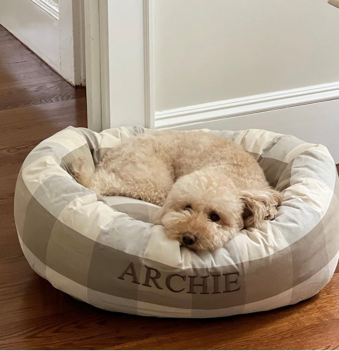 jaxandbones's tweet photo. Dog aesthetic...it's a thing!

Looking good @thebrascobunch!

Do you match your dog bed to your home decor? (or vice versa?!)

#jaxandbones #doghome #dogsathome #dogstyle #homedecor #Cratestyle #Homedecor #Interiordesign #trendspotting #Studiomcgeestyle https://t.co/pha1OH5Gpr