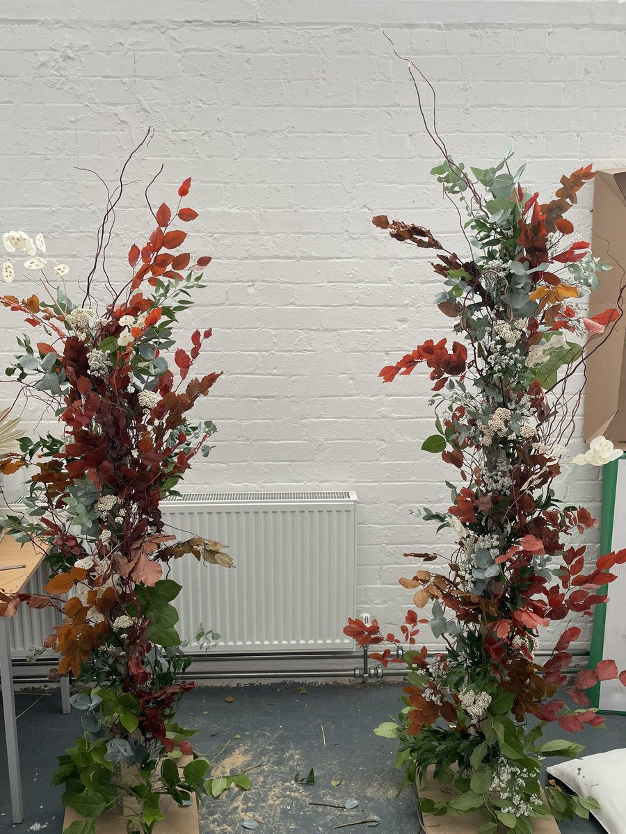 louise ✿ 🏴󠁧󠁢󠁳󠁣󠁴󠁿 tweet media