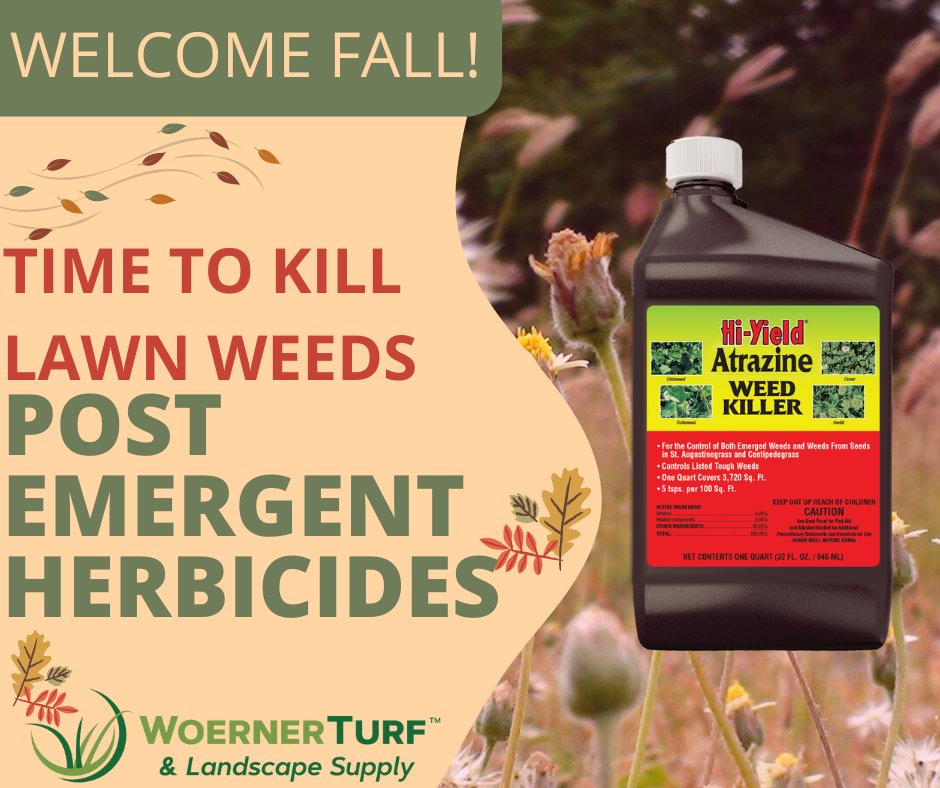 Woerner Turf tweet media