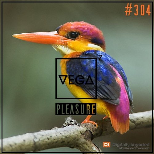 VegaZ_Music's tweet photo. This week Pleasure 304, the hot 14 tracks of last week, including new @lexahillmusic @huskyaustralia @CavegoOfficial 2 tracks by @Mark_Lower @VanPrattMusic and many many more! Today 19:00 CET on https://t.co/dPr1rMt8g2! https://t.co/Gz21AKLBn9