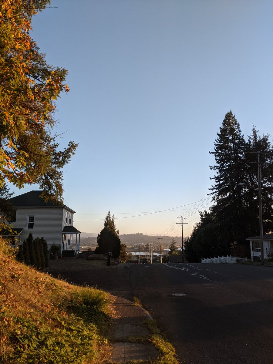 Melissodes's tweet photo. Oct 11th afternoon https://t.co/rkfCSx0zDe