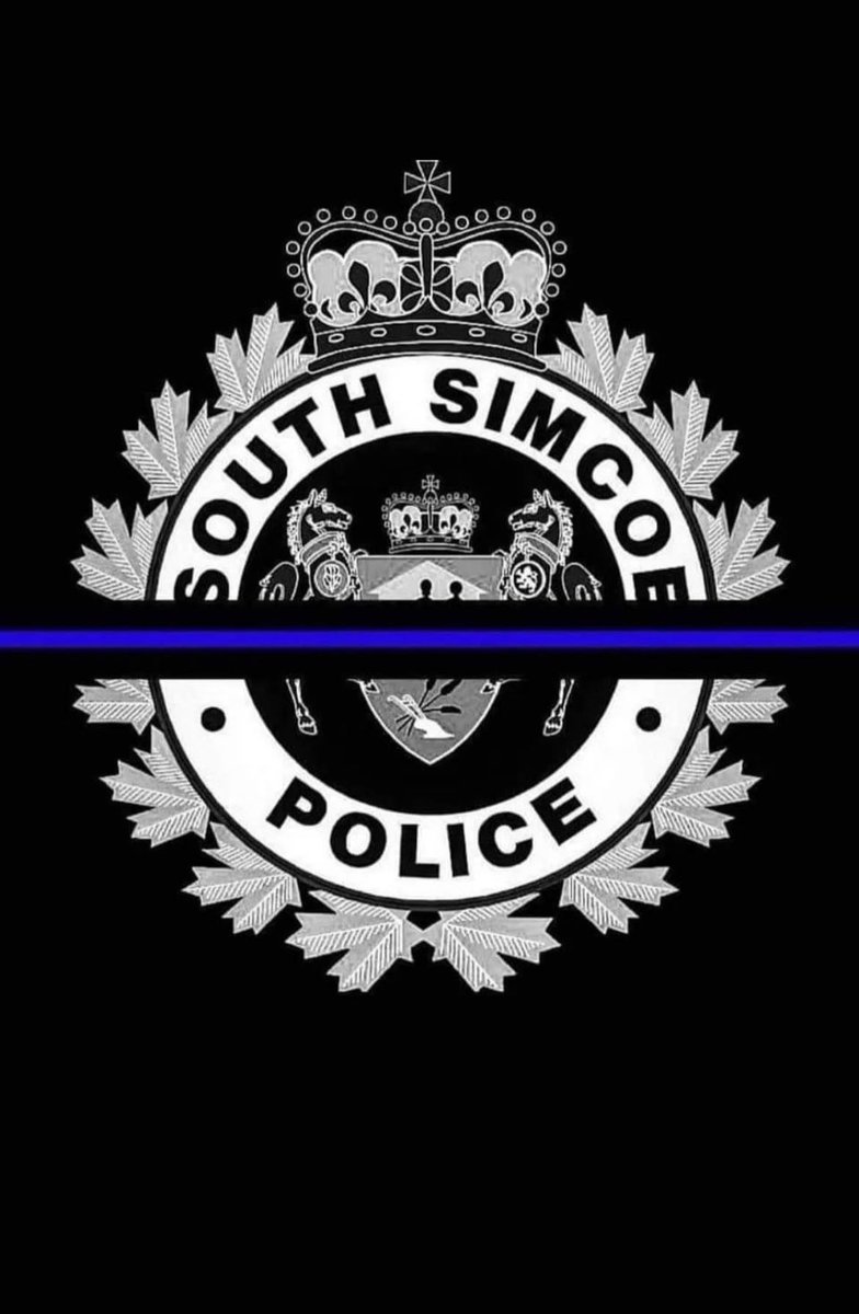 LisbonPaving (@lisbonpaving) on Twitter photo 