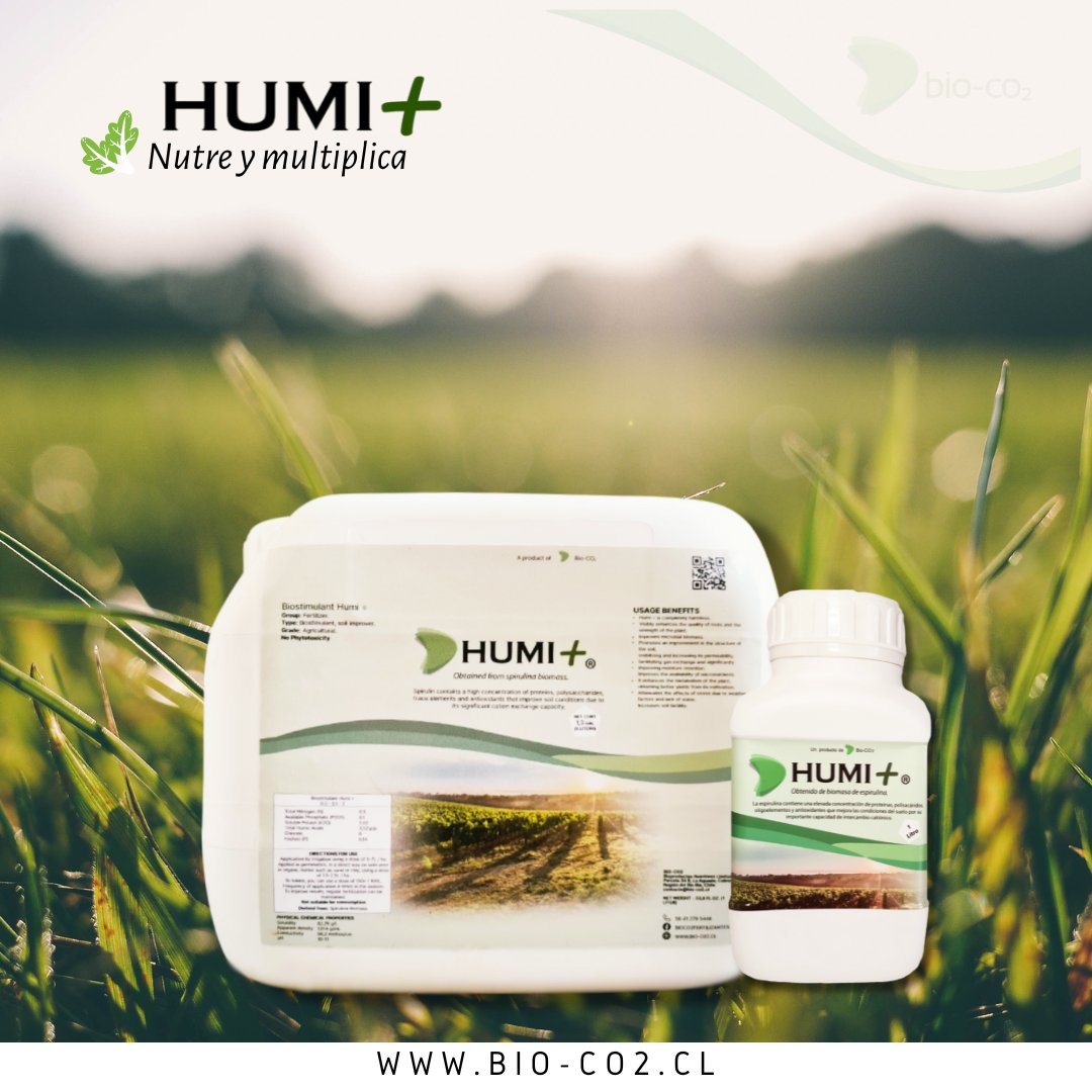 🟢HUMI+, producto nacional, libre de metales pesados, elaborado con la microalga de spirulina.

▫ HUMI+ mejora el rendimiento de cultivos agrícolas y forestales y es amigable con el medio ambiente. 🌱

➡️HABLEMOS EN: contacto@bio-co2.cl
➡️ COMPRA EN BIO-CO2.CL