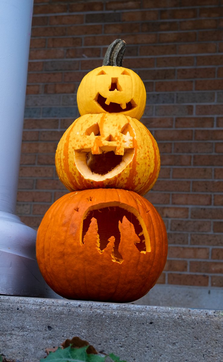 ahomeandafuture's tweet photo. Get in, loser. We're going haunting. 

#spookyseason #halloween2022 #halloweendecorations #campusdecor #campus #campuslife #pumpkins #jackolantern #jackolanternspectacular #falldecor #fall #fallcolors2022 #fallcolors #spiderweb #deskgoals #bats #reception #office #fostercare https://t.co/sfvoAGPl7P