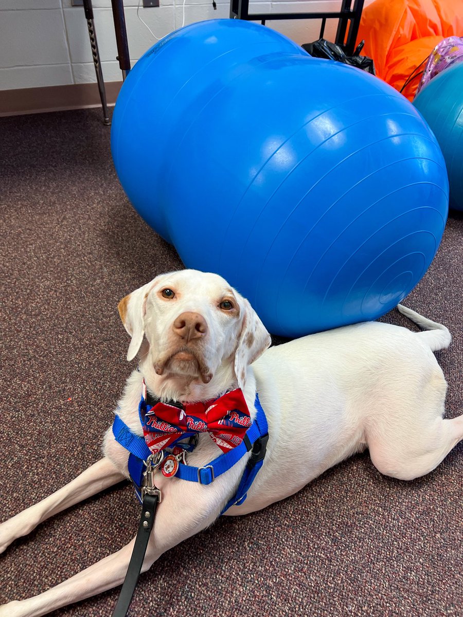 CellosCorner's tweet photo. PT with Porter at Indian Mills Memorial School! https://t.co/rp2VHWoclx