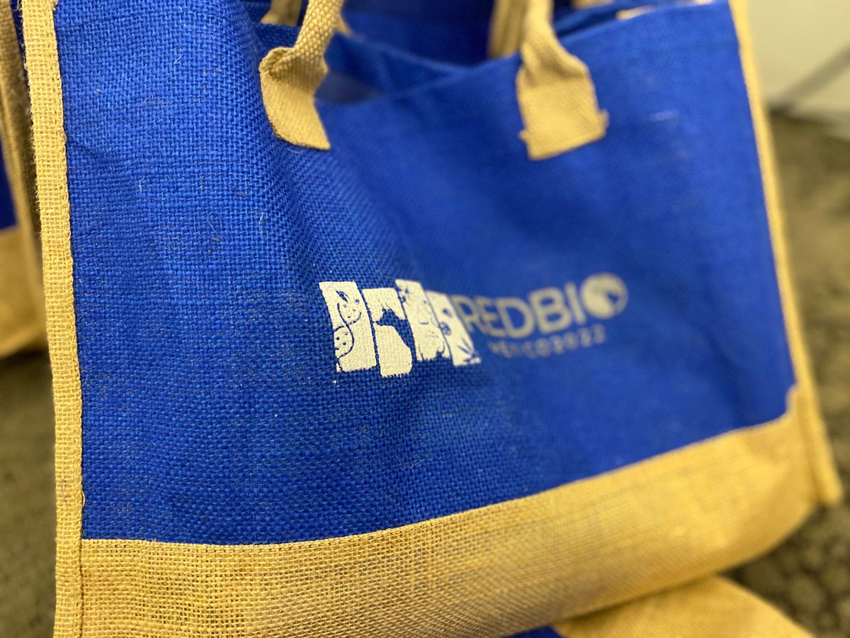 RedBioOficial's tweet photo. Iniciamos el primer día de actividades #RedBio en Mérida Yucatán

#REDBIO2022 #Congreso https://t.co/rEiUeLyghe