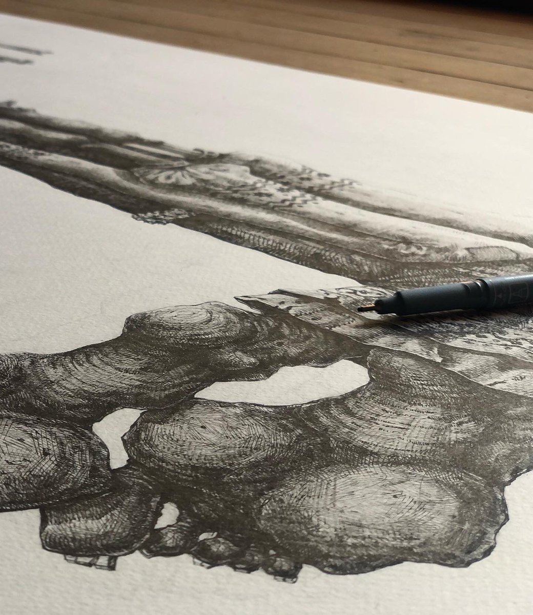 Дмитро Кришовський tweet media