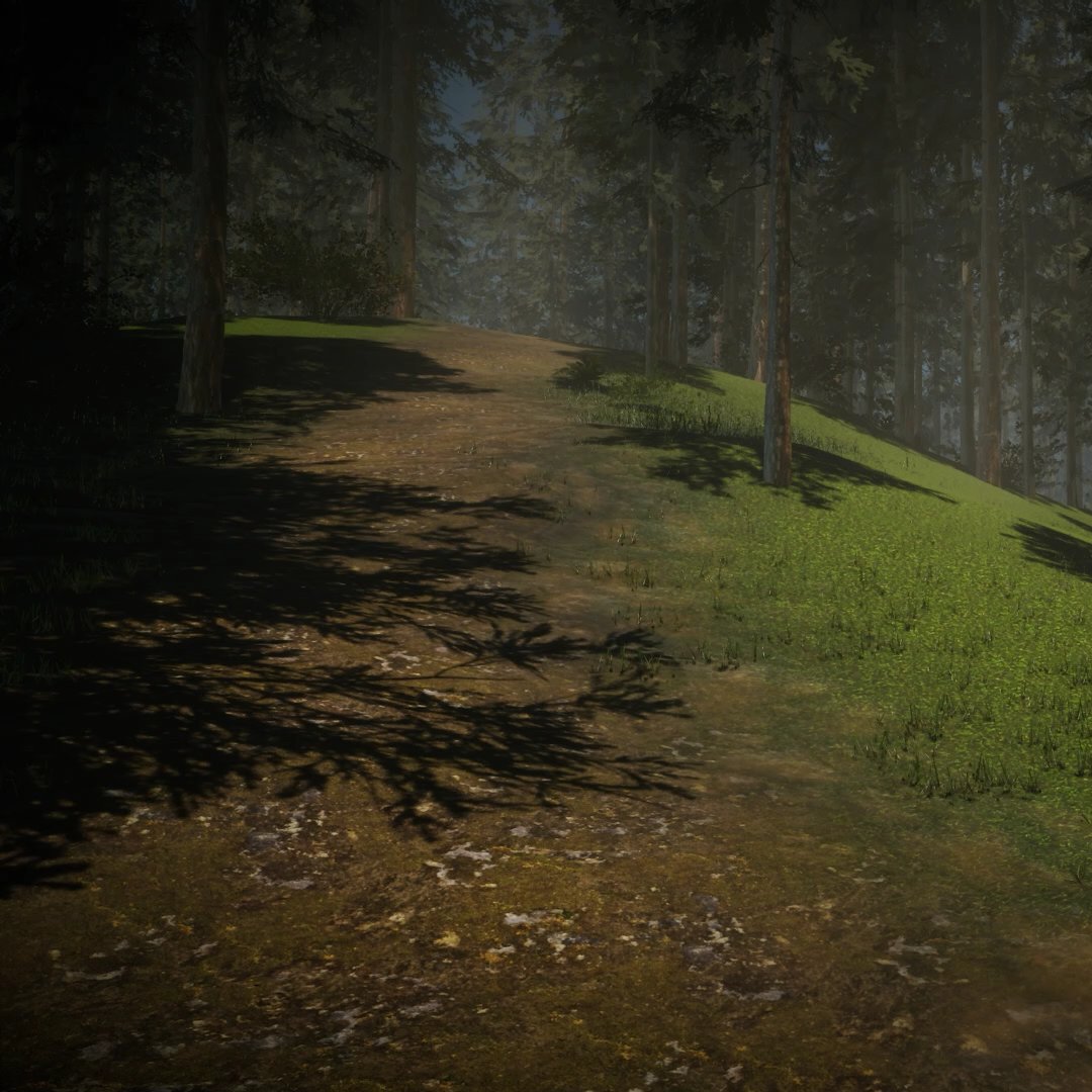 StudioMerkas's tweet photo. Since these are the last warm days of the year, its time to take a nostalgic trip to a familiar environment!

This old unity forest environment invites to embrace nature 🤗☕

_
#forest #unity3d #madewithunity #3denvironment #environmentdesign https://t.co/JKAIK3nDjN