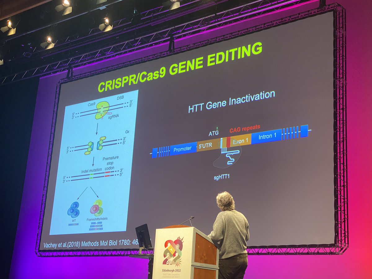 michael_duerr's tweet image. Learned a lot about new #gene #editing strategies on #huntington disease with #AAV Kami #Cas9 and with the help of human brain atlas to predict efficiency. Great educative talk-thanks to Nicole Deglon #ESGCT2022