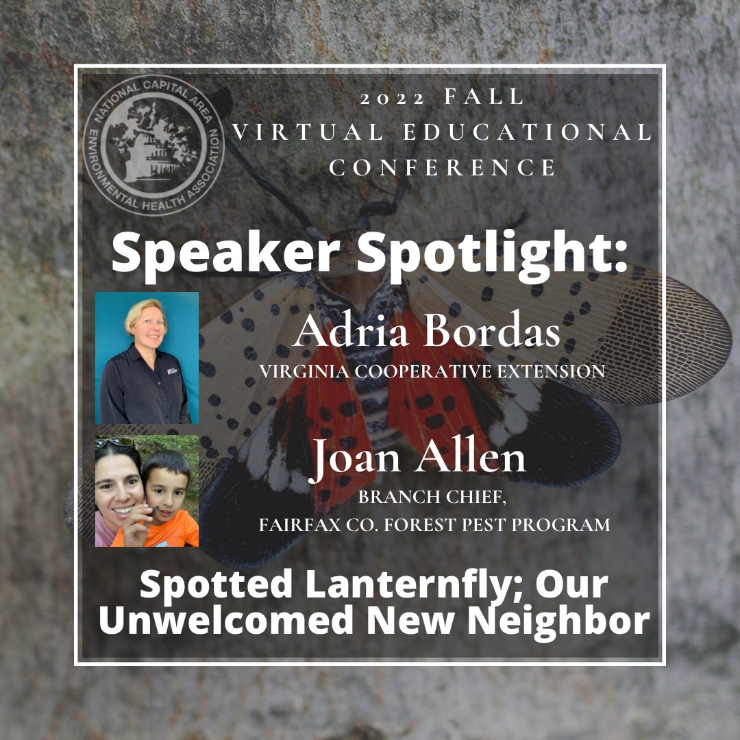 NCAEHA's tweet photo. It's not too late! RSVP now for our Fall Educational Conference at https://t.co/ynLmNs9Bd6. Join us on Monday, October 17 via Zoom! Registrants must have an active 2022 Membership to attend and have been emailed a Zoom link to access the conference in a separate email. https://t.co/fSTpMAtKAS