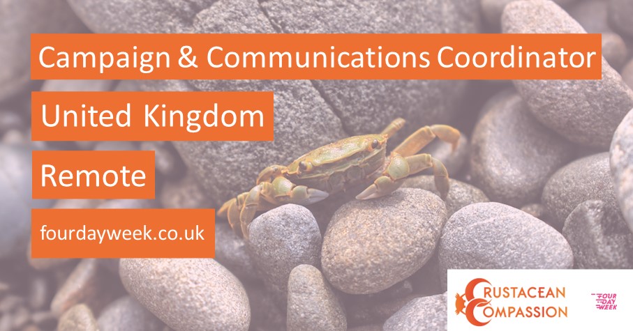 Have excellent written &amp; verbal communication skills?✔️
Experienced in creating targeted content?✔️
Have experience of working for NGO campaigns?✔️
<a href="/crab_welfare/">CrustaceanCompassion</a> need a Campaign &amp; Communications Coordinator
Apply here: bit.ly/3g1t4Ie
#homebasedjob #commsjobs #UKjobs #job