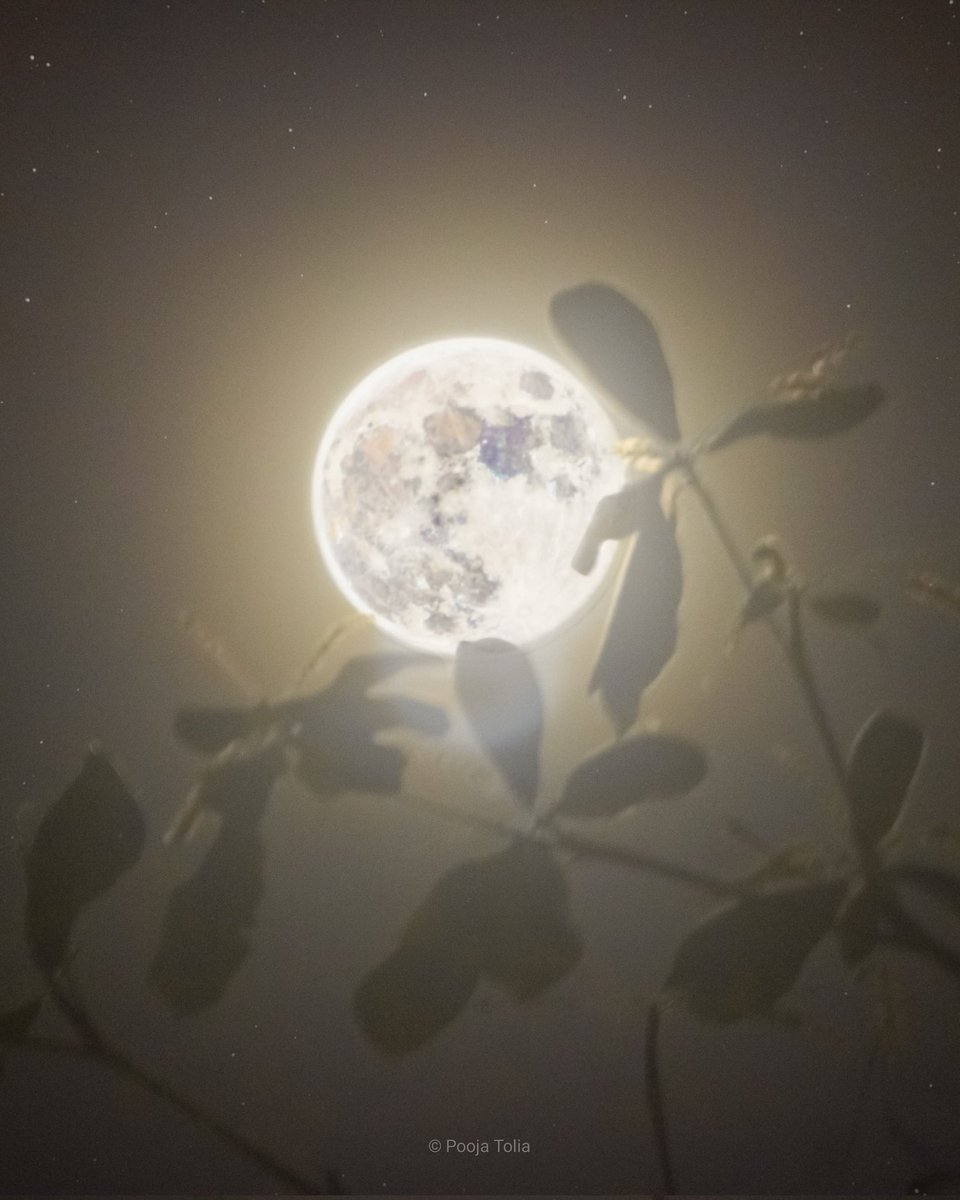 Full Moon of October 2022! A blend of two single frames (1 long exposure &amp; 1 short) captured on #canon600D at 300mm. 
#nasamoonsnap #artemis #ToTheMoon #Astrophotography