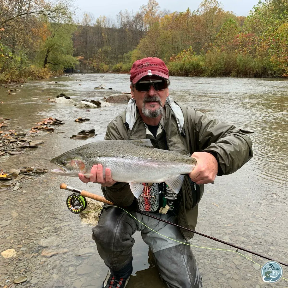Articulate_Fly's tweet photo. STEELHEAD REDUX: All Things Steelhead Alley with @JeffBloodFlyFi1 (Part One)
Give it a listen!
#paflyfish #paflyfishing #flyfishpa #steelhead #steelheadalley #steelheadfishing #patroutfishing #patrout #pawilds #steelheadonthefly 
https://t.co/AV80BU2m7D https://t.co/gh9vnZm4lV