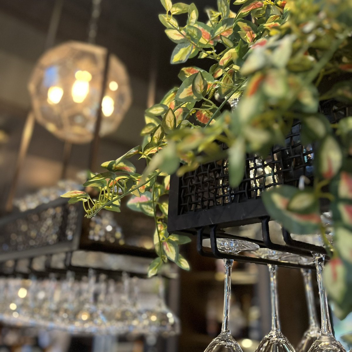 JWLeesBrewery's tweet photo. Doesn’t The Elizabethan’s refurb look brilliant? 😍🙌

Make sure you pop down for their official opening tomorrow and treat yourself to delicious dishes, award-winning cask ales and maybe a cocktail or two. 🍸🍻 https://t.co/Pk04I1WmBE