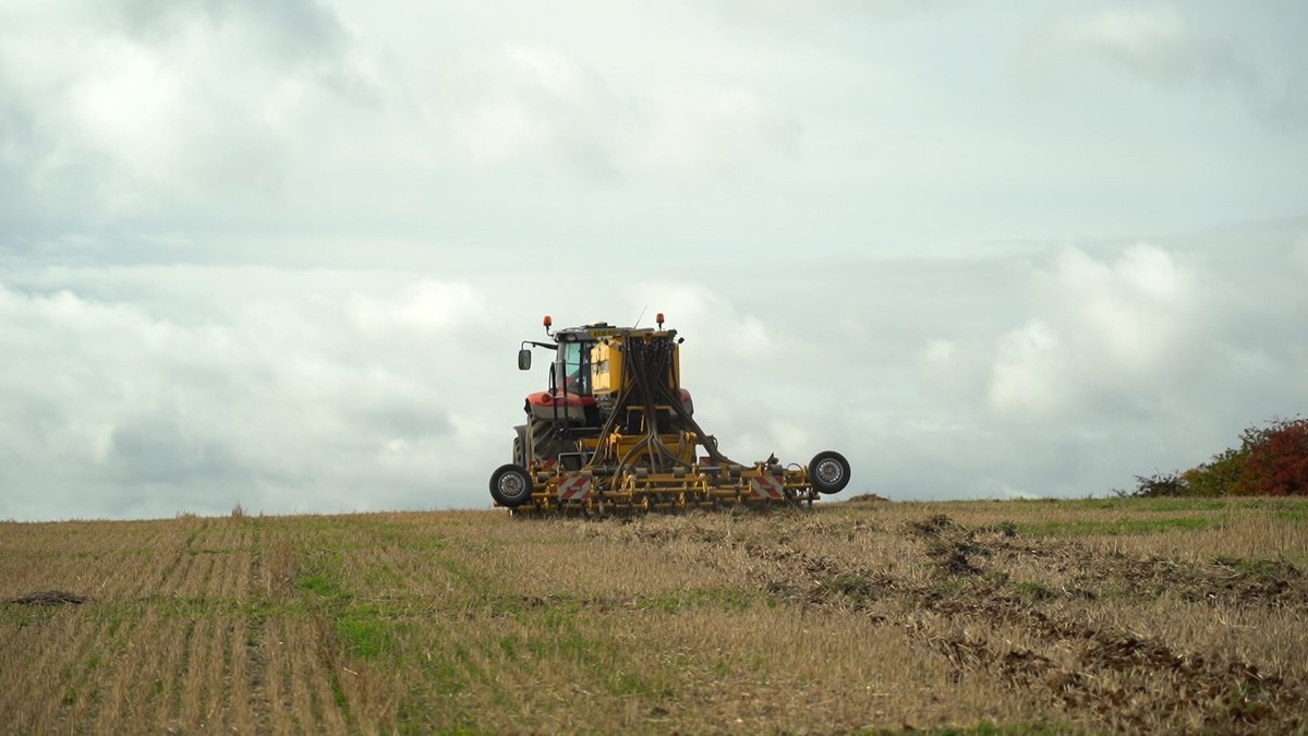 SAIPlatform's tweet photo. 📣 As part of last week's #SAIPlatform 20th anniversary annual event, members had the opportunity to visit @AllertonProject, a #demonstration #farm researching the relationship between #productive land use and #wildlife #conservation for over 30 years.
#PeoplePoweredAgriculture https://t.co/i4zUIJF4Hj