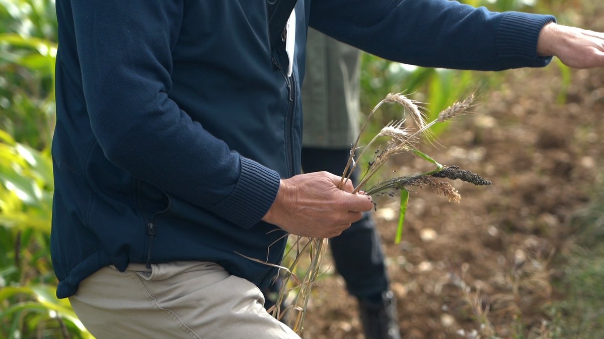 SAIPlatform's tweet photo. 📣 As part of last week's #SAIPlatform 20th anniversary annual event, members had the opportunity to visit @AllertonProject, a #demonstration #farm researching the relationship between #productive land use and #wildlife #conservation for over 30 years.
#PeoplePoweredAgriculture https://t.co/i4zUIJF4Hj