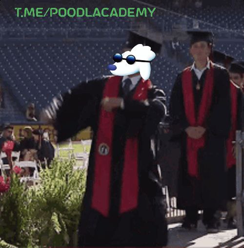 crptomaro's tweet photo. $POODL academy is new, it offers new opportunities. Join and take advantage of the opportunity.
#BinanceSmartChain #POODL #Metaverse #binance #BSC #Gems #BNBChain #PoodleFi #gaming #Bitcoin #kucoincom #Gateio #Gems #BSC #BNB #BNBChain #Web3 https://t.co/YqQ9B6R8JB
