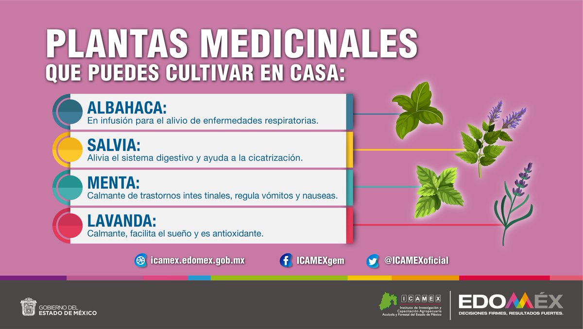 ICAMEXoficial's tweet photo. La botánica ha sido la medicina más accesible y eficaz para pueblos y comunidades de México. En el #ICAMEX contamos con capacitaciones sobre medicina tradicional y elaboración de pomadas, shampoo, entre otros artículos como un apoyo a la salud y economía mexiquense. https://t.co/ap28lDQ46A