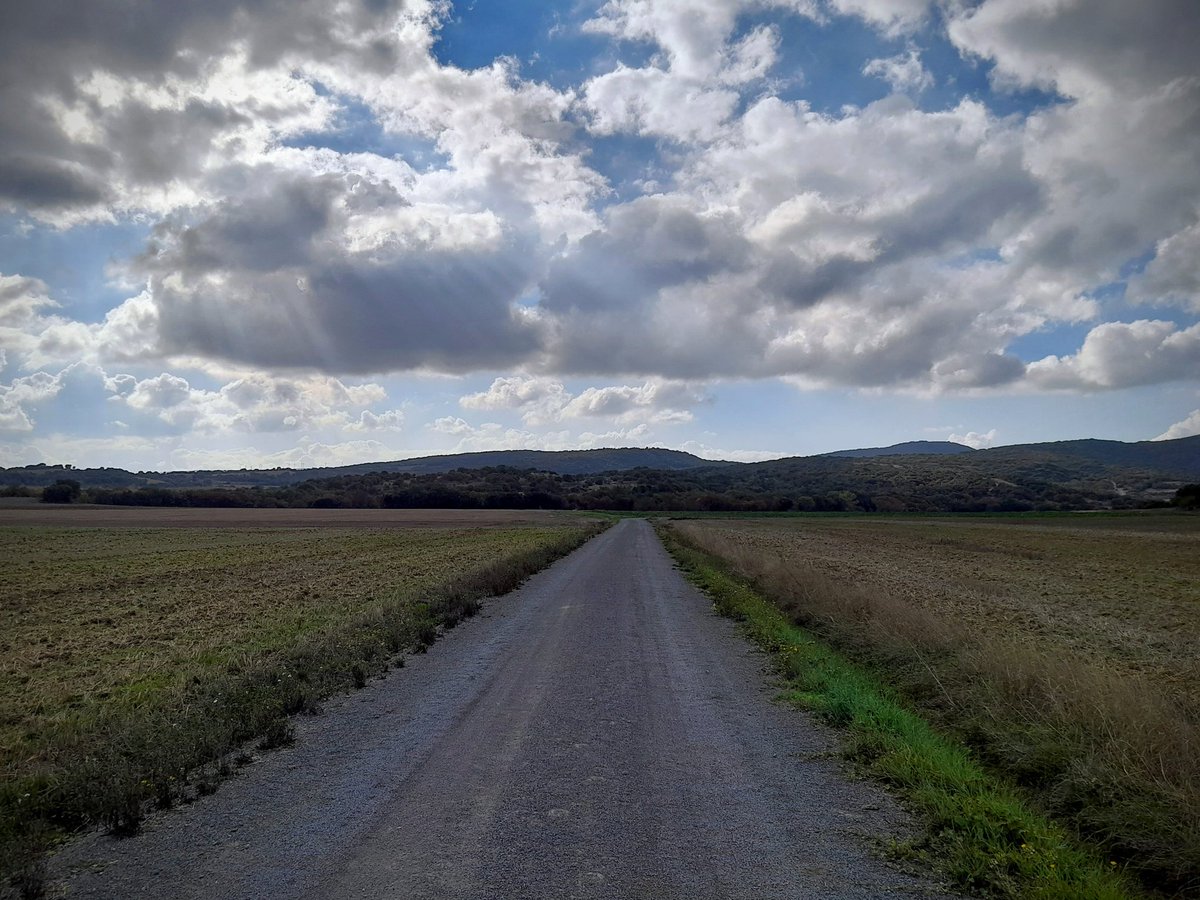 montygasteiz's tweet photo. #VitoriaGasteiz #Apodaka #Araba #Gravel @Arabamet https://t.co/Xo45jW7q2W