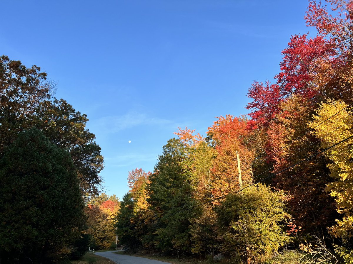 AlysonManion's tweet photo. Remote work. Less stress.  Amazing teams mean I work with AMAZING humans! I’m certainly grateful. #NewEnglandLife https://t.co/cykLLl3y0F