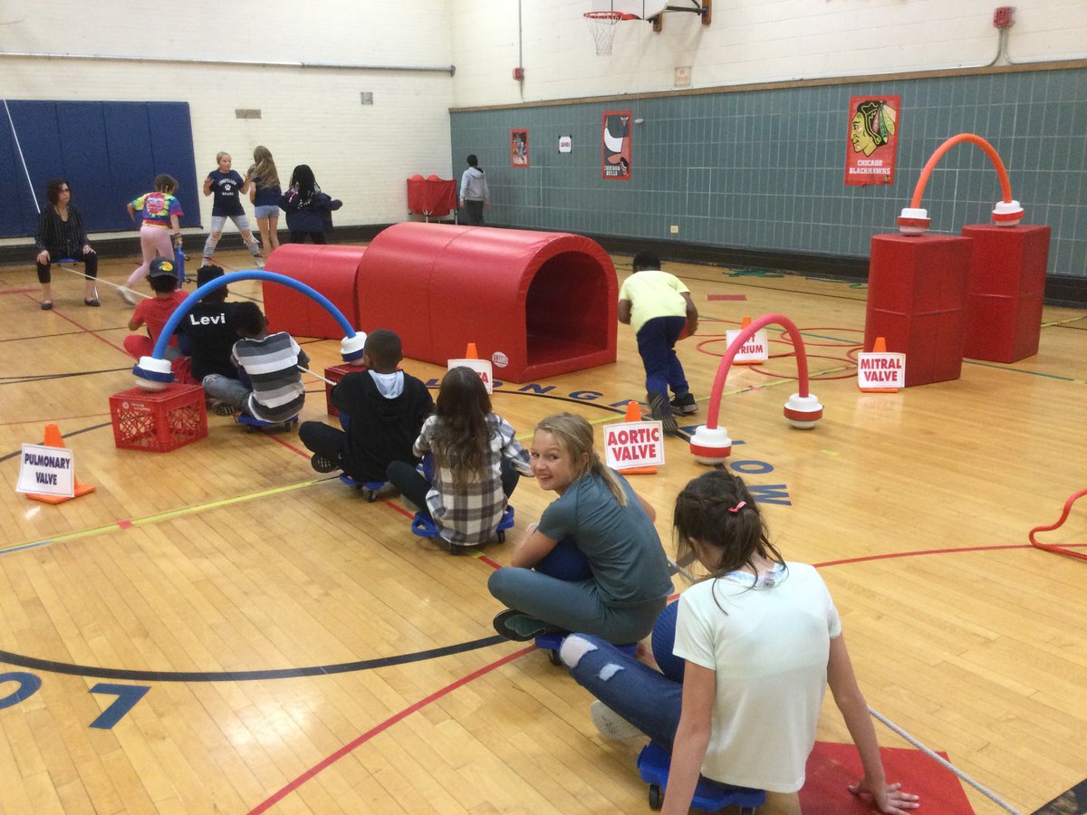 LongfellowPE's tweet photo. Learning about the heart in a fun way! ⁦@LongfellowPE⁩ #longfellowbears #weared97 https://t.co/fakUhjRtnA