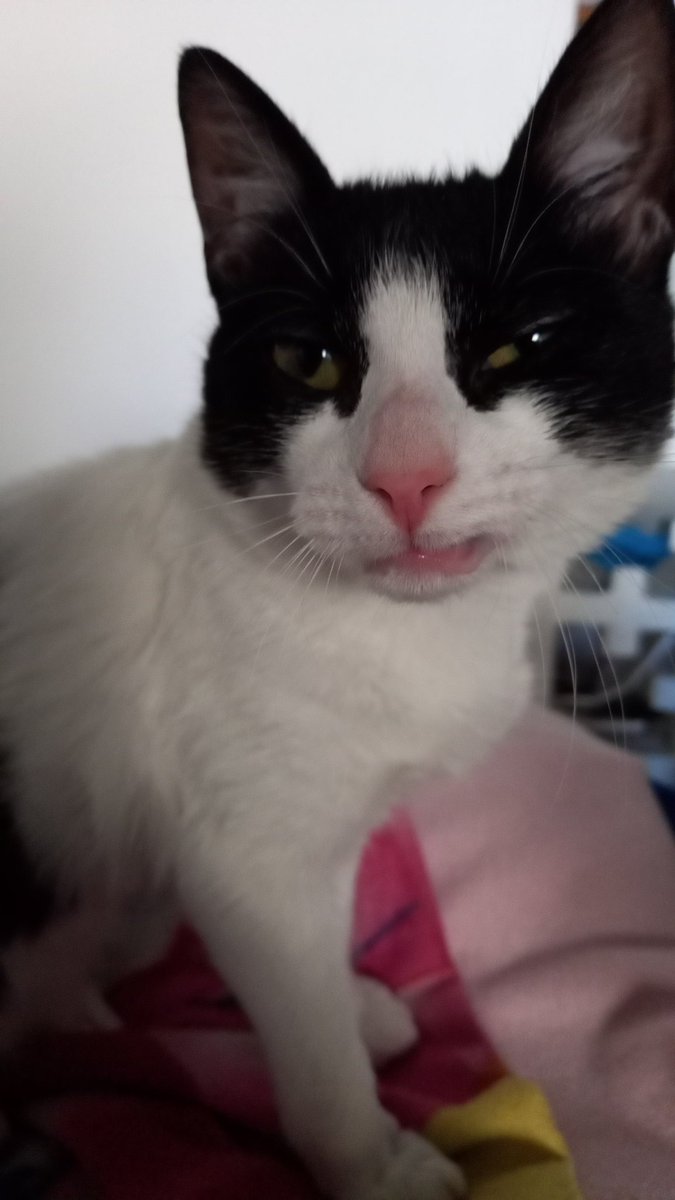 lqvampp's tweet photo. WBY DOS SHE LOOK LIKE THAT LMAOOOOSBNSHSJAJAJAHAHA https://t.co/Sq2bxXct2f