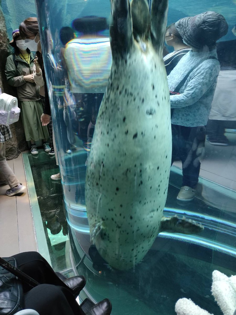 Esqtxl67boxnlm Esqtxl67boxnlm