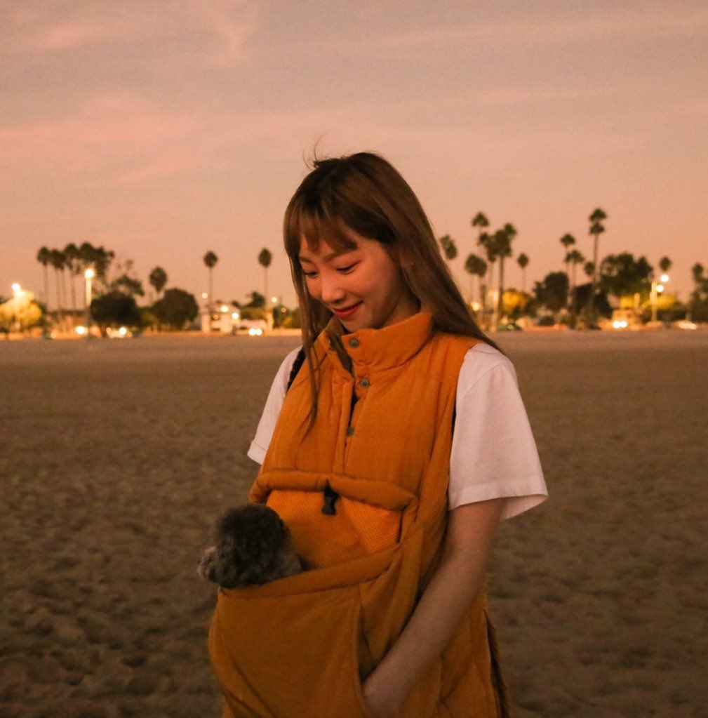 blue_3x9's tweet photo. 내가 사랑하는 태연에 관하여 https://t.co/5WQv4YJStb