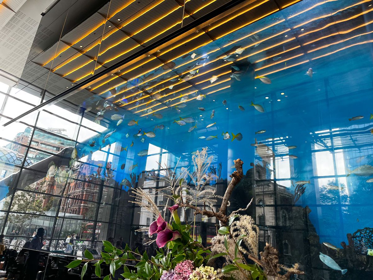 The Networking Diaries tweet media